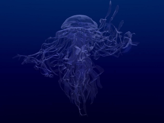 Медуза, 1600x1200